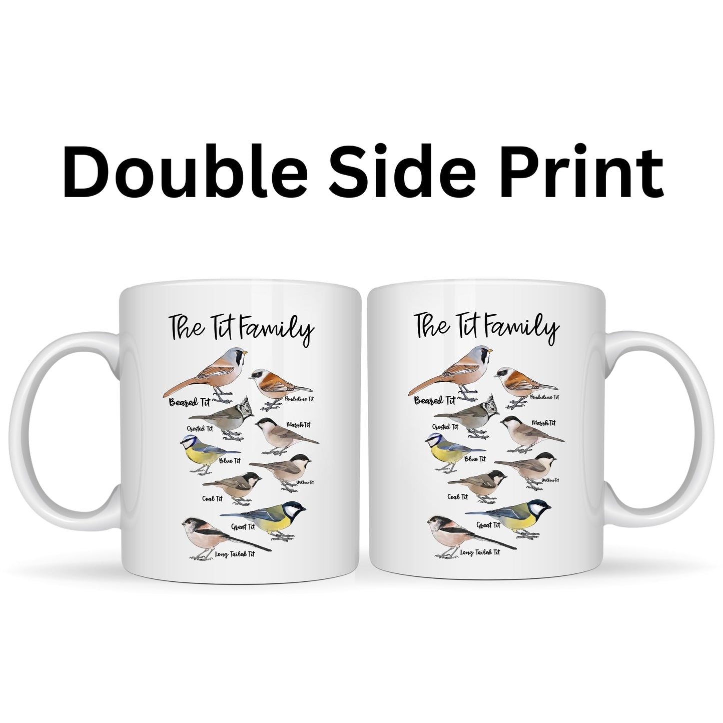 Be Buz The Tit Family Mug – Bird Species Illustration Coffee Mug for Nature Lovers – 11oz White Ceramic Birdwatching Tea Cup