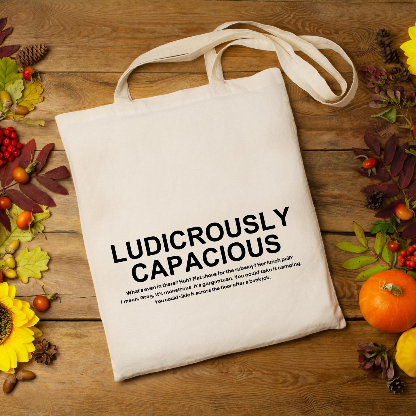 Be Buz Succession Ludicrously Capacious Cotton Tote Bag Gift for Friends Gift for him her Reusable Casual Bag for Work Shopping Travel