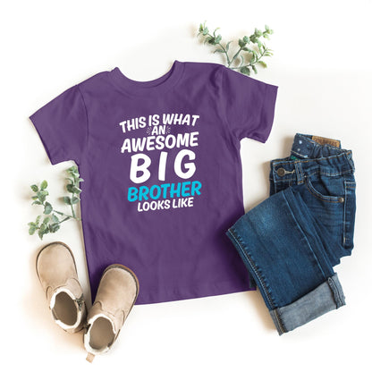 Awesome Big Brother – Funny Sibling Kids T-Shirt - Top Tee